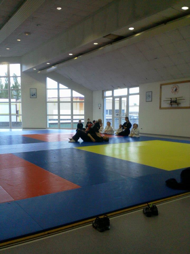 Cours enfants d'arts martiaux à soufflenheim en alsace (67)