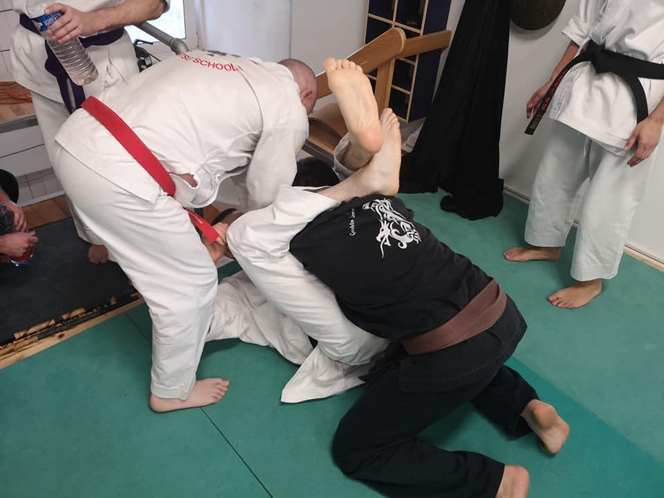 20181111_stageAikiJujutsuLiestal