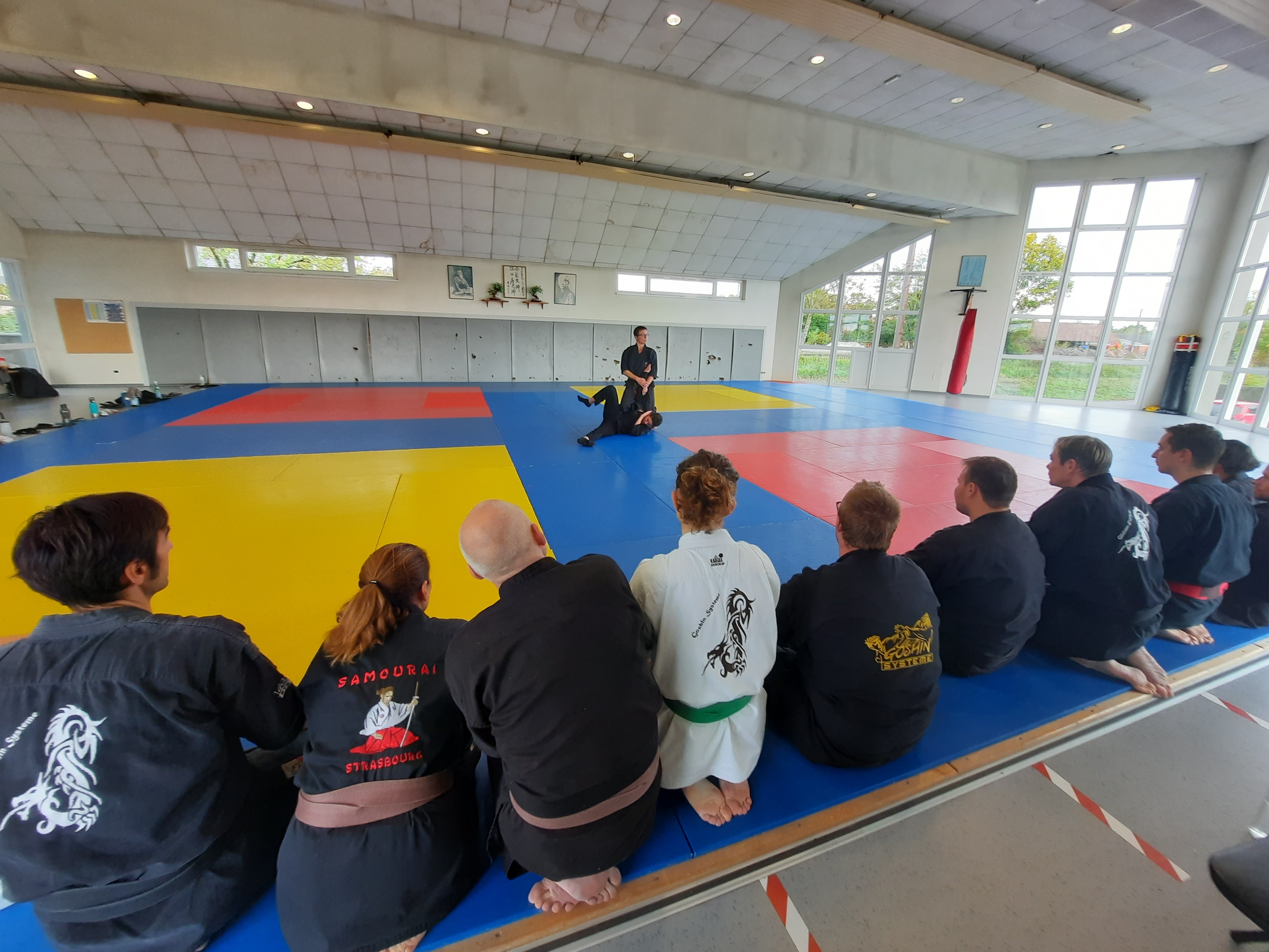 Stage Goshin-Système Strasbourg-Soufflenheim