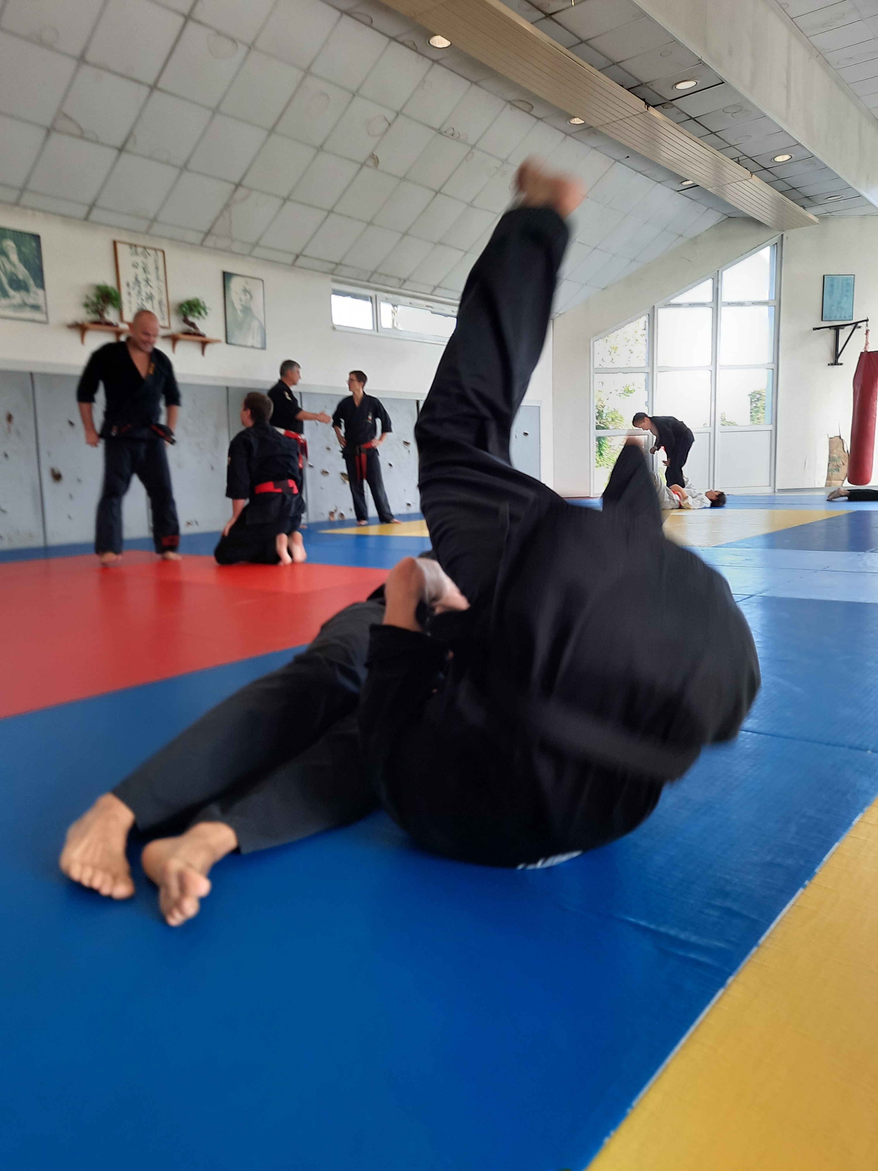 Stage Goshin-Système Strasbourg-Soufflenheim