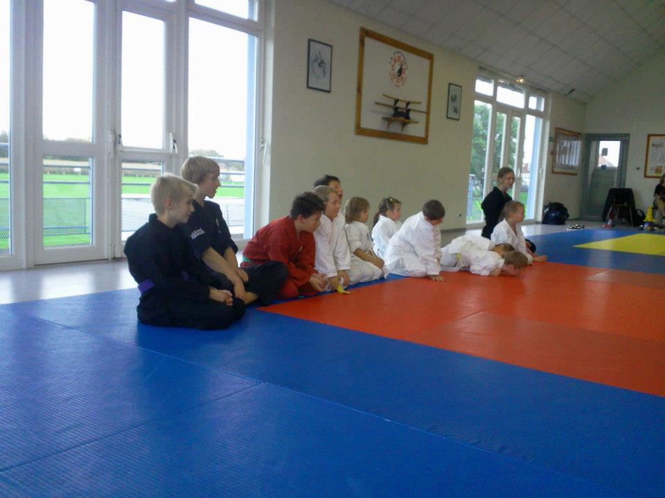 Cours enfants d'arts martiaux à soufflenheim en alsace (67)