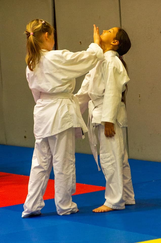 Arts Martiaux Boxe Grappling Soufflenheim près Haguenau