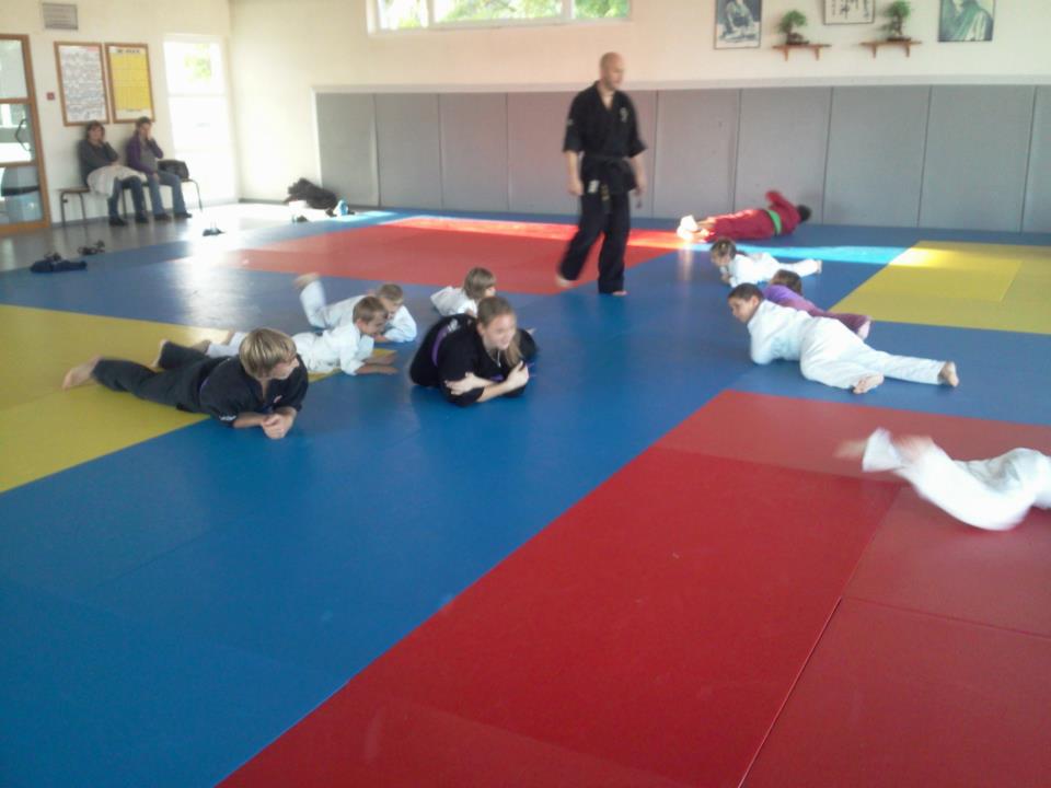 Cours enfants d'arts martiaux à soufflenheim en alsace (67)