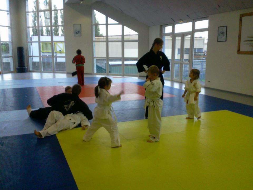 Cours enfants d'arts martiaux à soufflenheim en alsace (67)