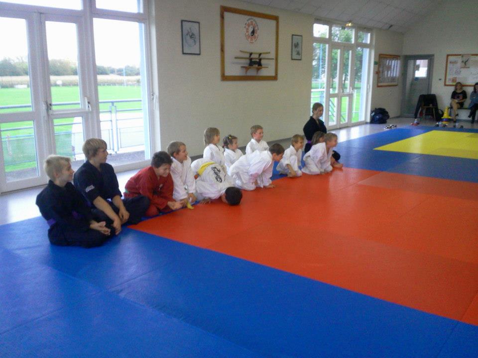 Cours enfants d'arts martiaux à soufflenheim en alsace (67)