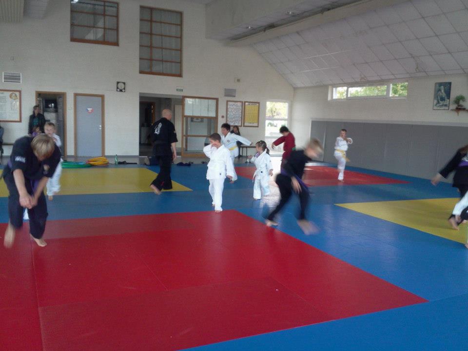 Cours enfants d'arts martiaux à soufflenheim en alsace (67)