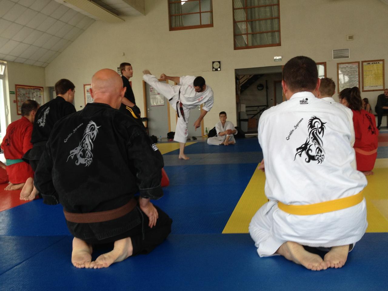aikido Drusenheim Haguenau soufflenheim_2170