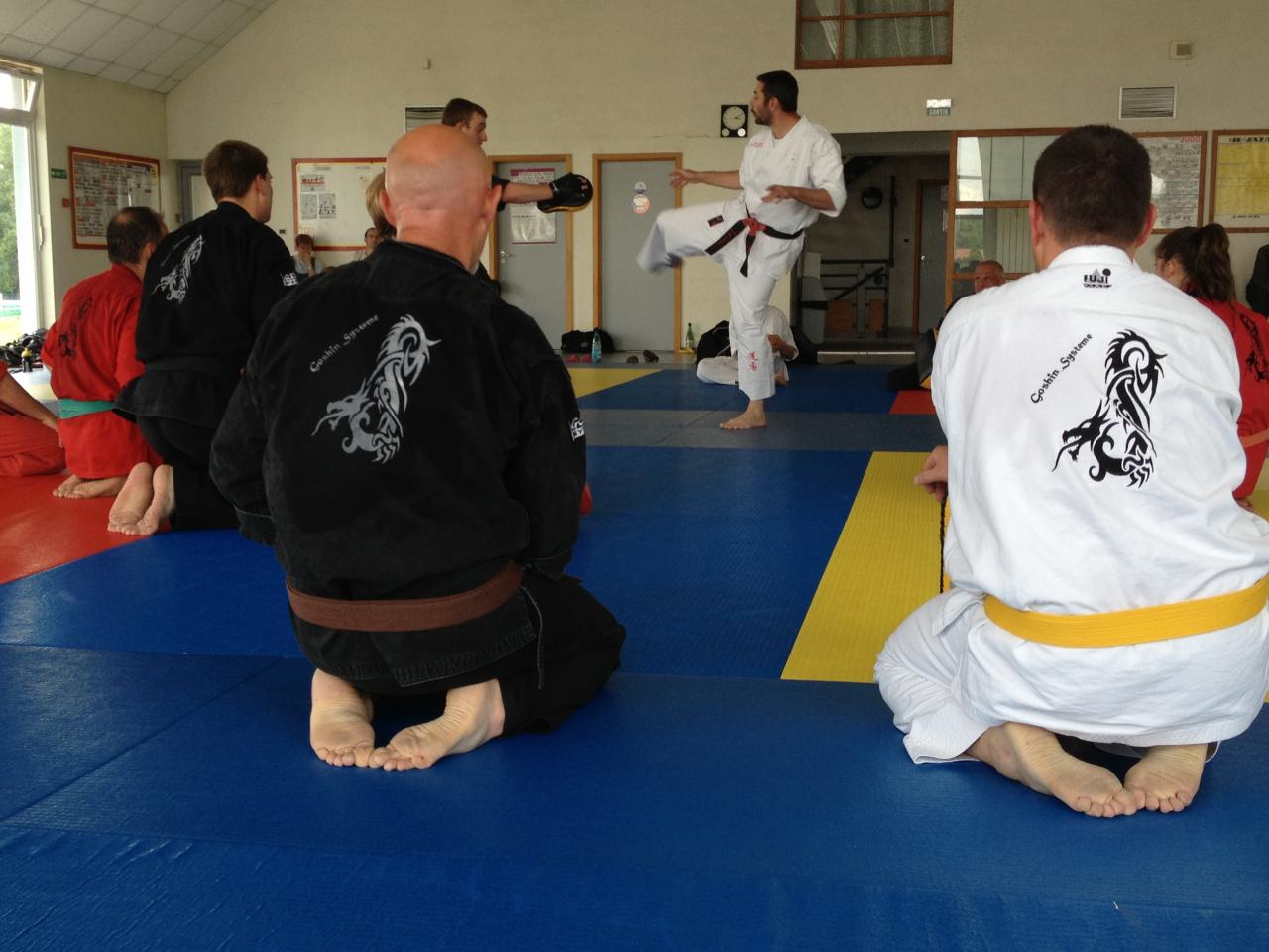 aikido Drusenheim Haguenau soufflenheim_2172