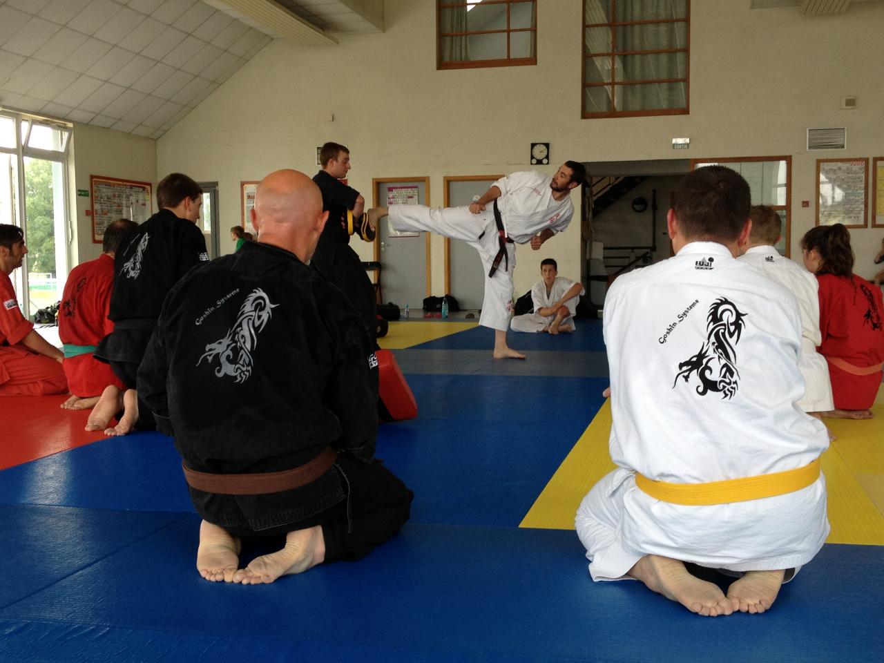 aikido Drusenheim Haguenau soufflenheim_2176