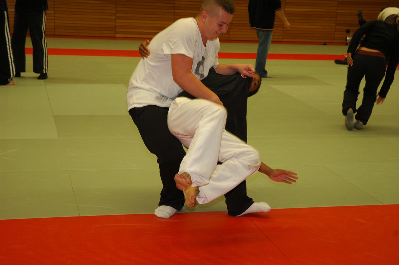 art_martiaux_rhenan03102013_0053