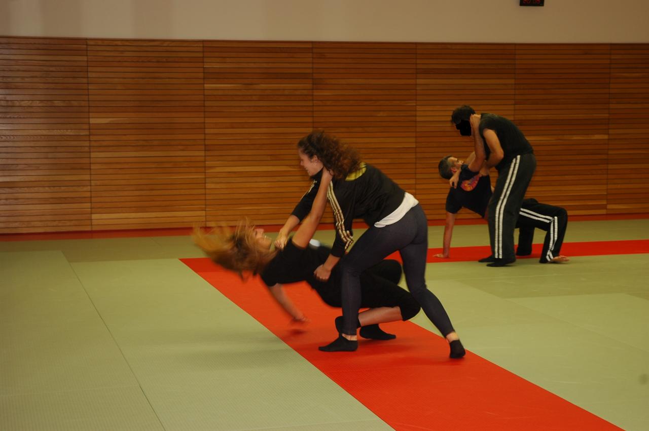 art_martiaux_rhenan03102013_0057r