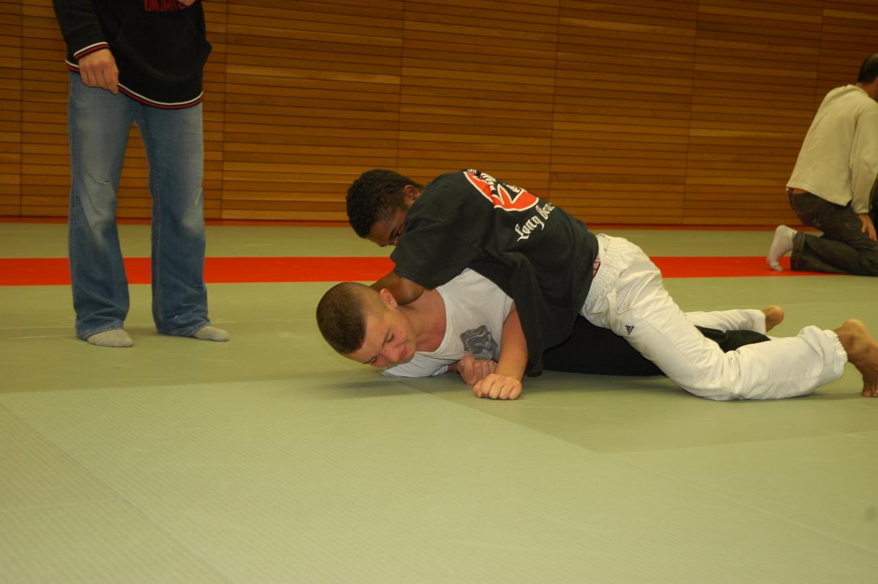 art_martiaux_rhenan03102013_0075