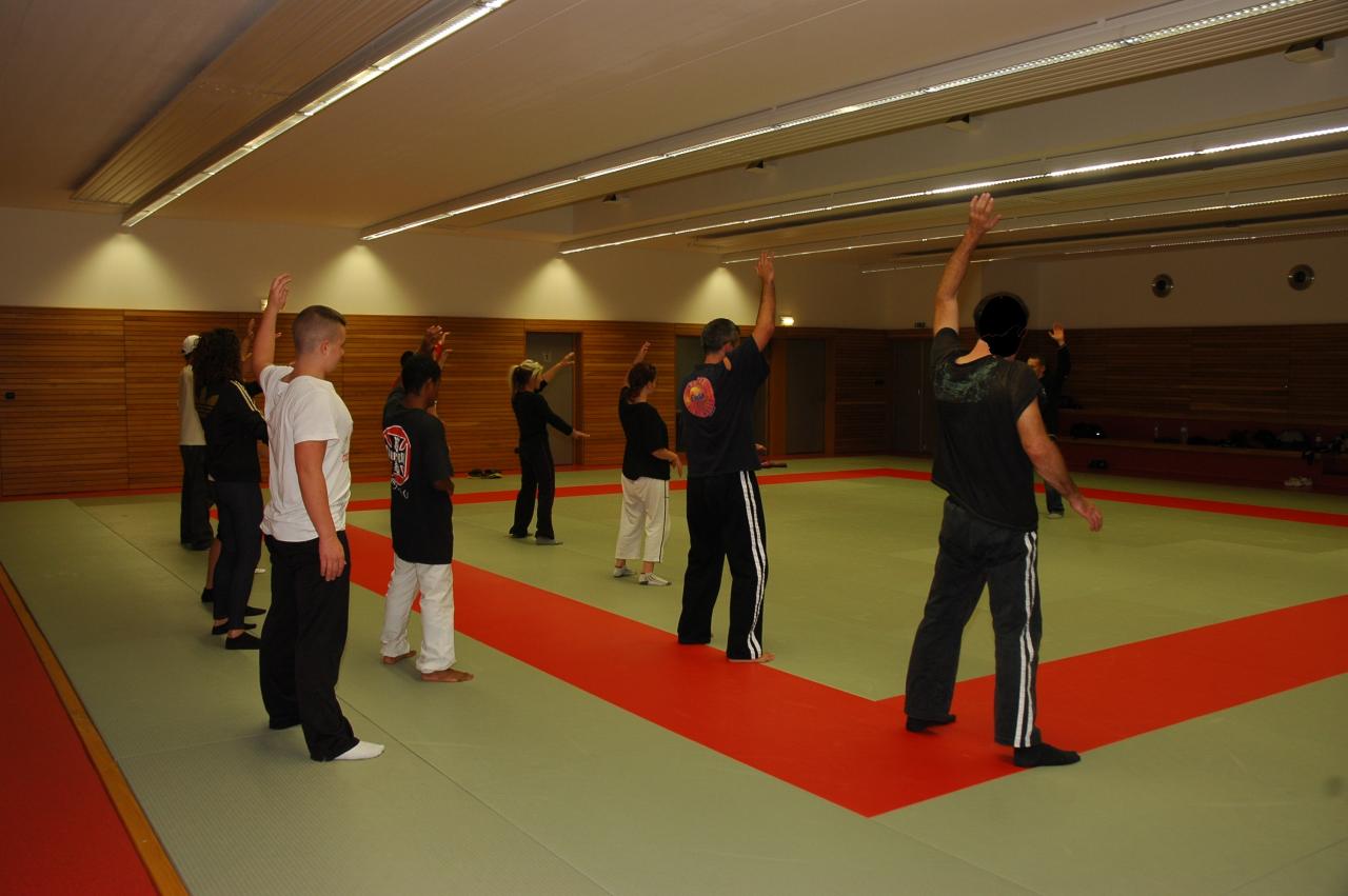 art_martiaux_rhenan03102013_0091b