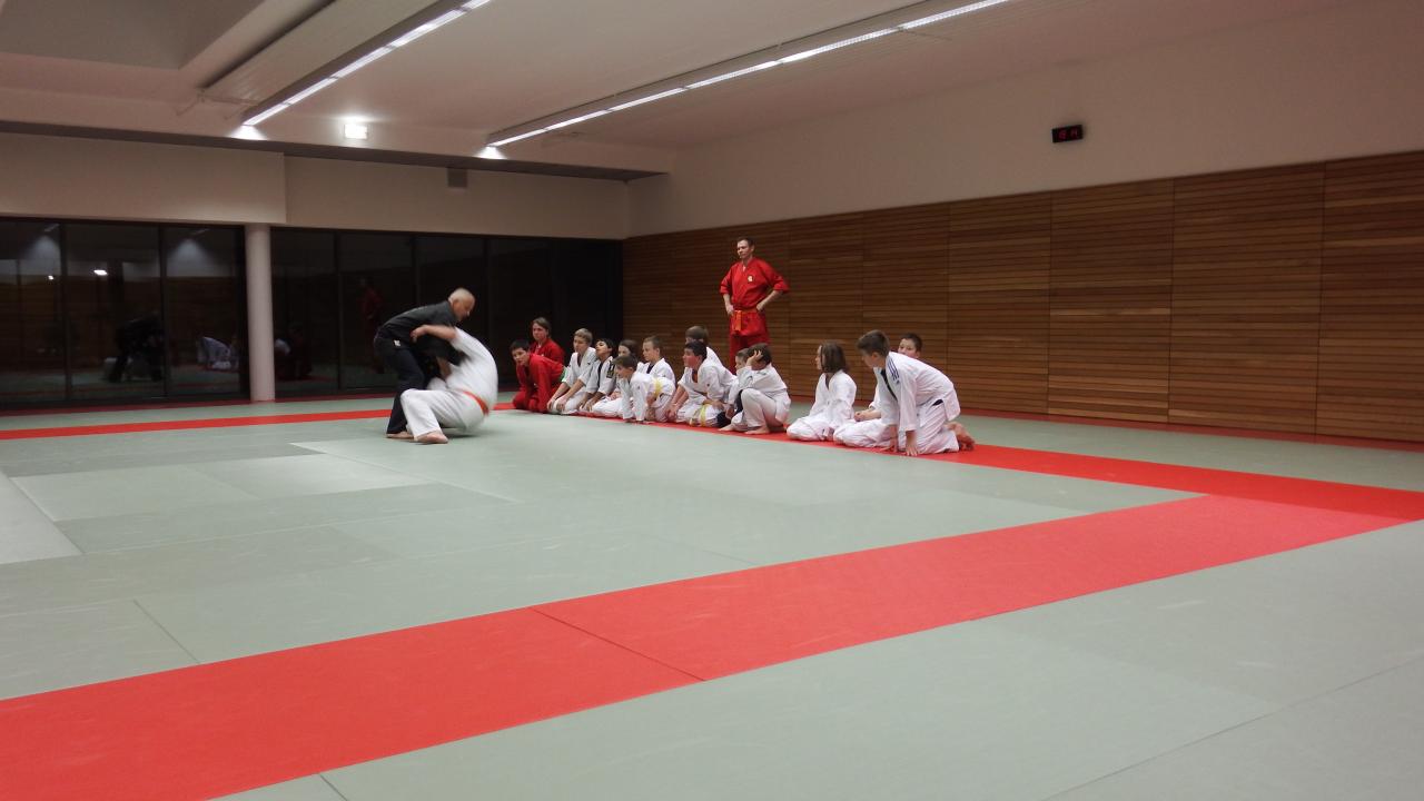 arts martiaux judo soufflenheim drusenheim 9104