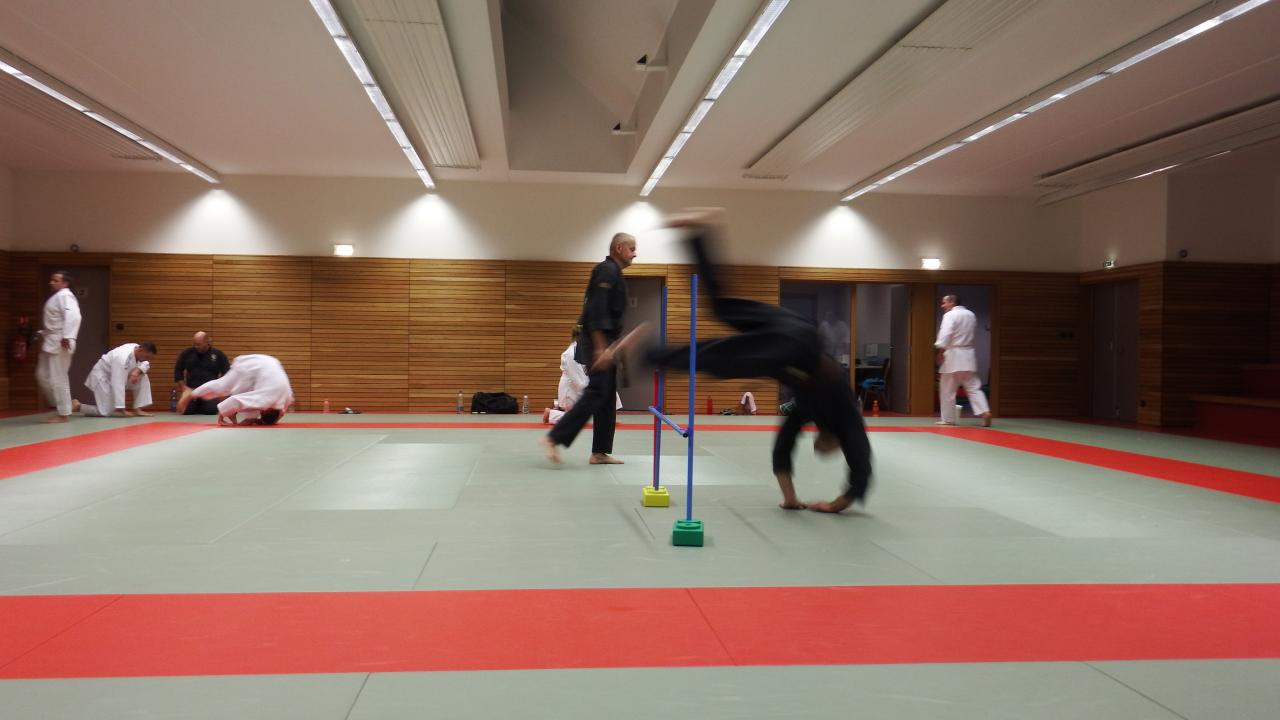 arts martiaux judo soufflenheim drusenheim 9140