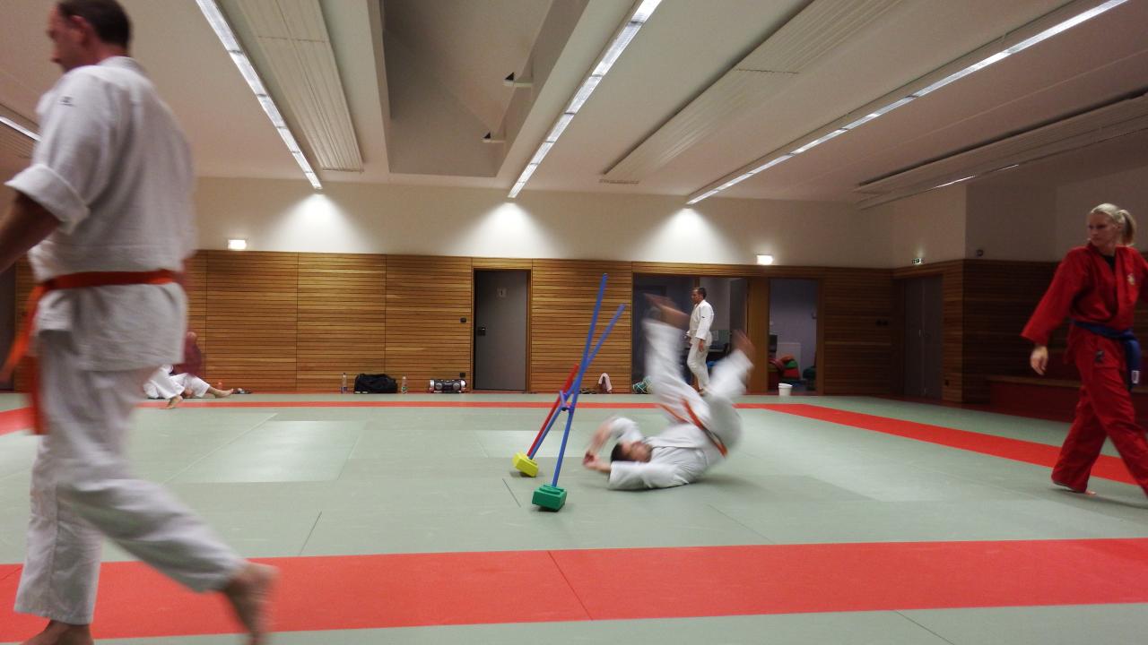 arts martiaux judo soufflenheim drusenheim 9144