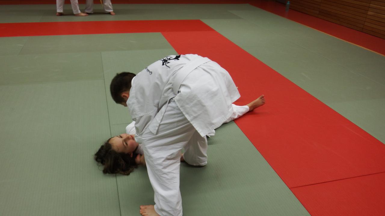 arts martiaux judo soufflenheim drusenheim9106