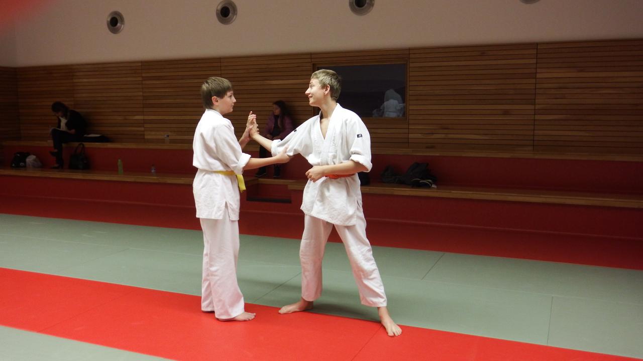 arts martiaux judo soufflenheim drusenheim9110