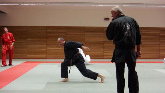 arts martiaux judo soufflenheim drusenheim9137