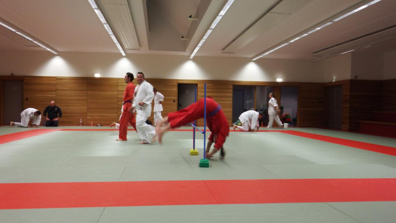 arts martiaux judo soufflenheim drusenheim9142