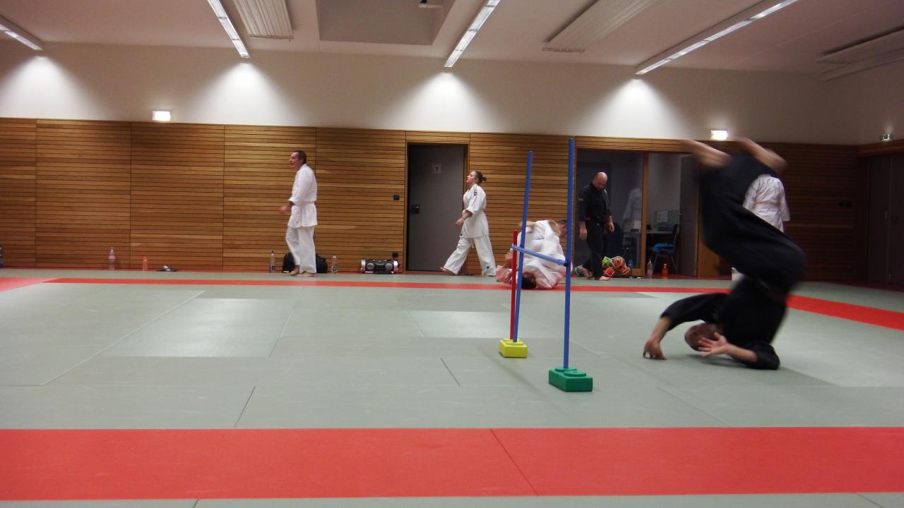 arts martiaux judo soufflenheim drusenheim9146