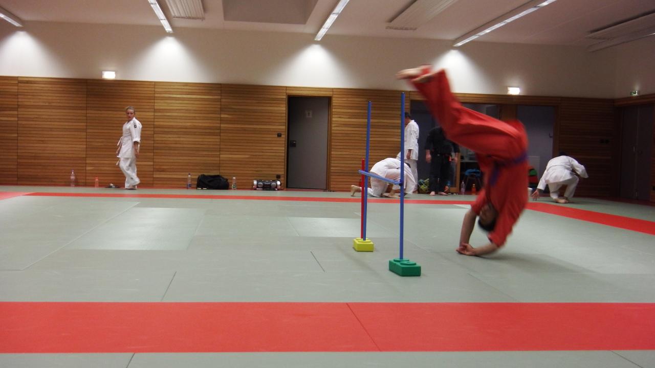 arts martiaux judo soufflenheim drusenheim9147