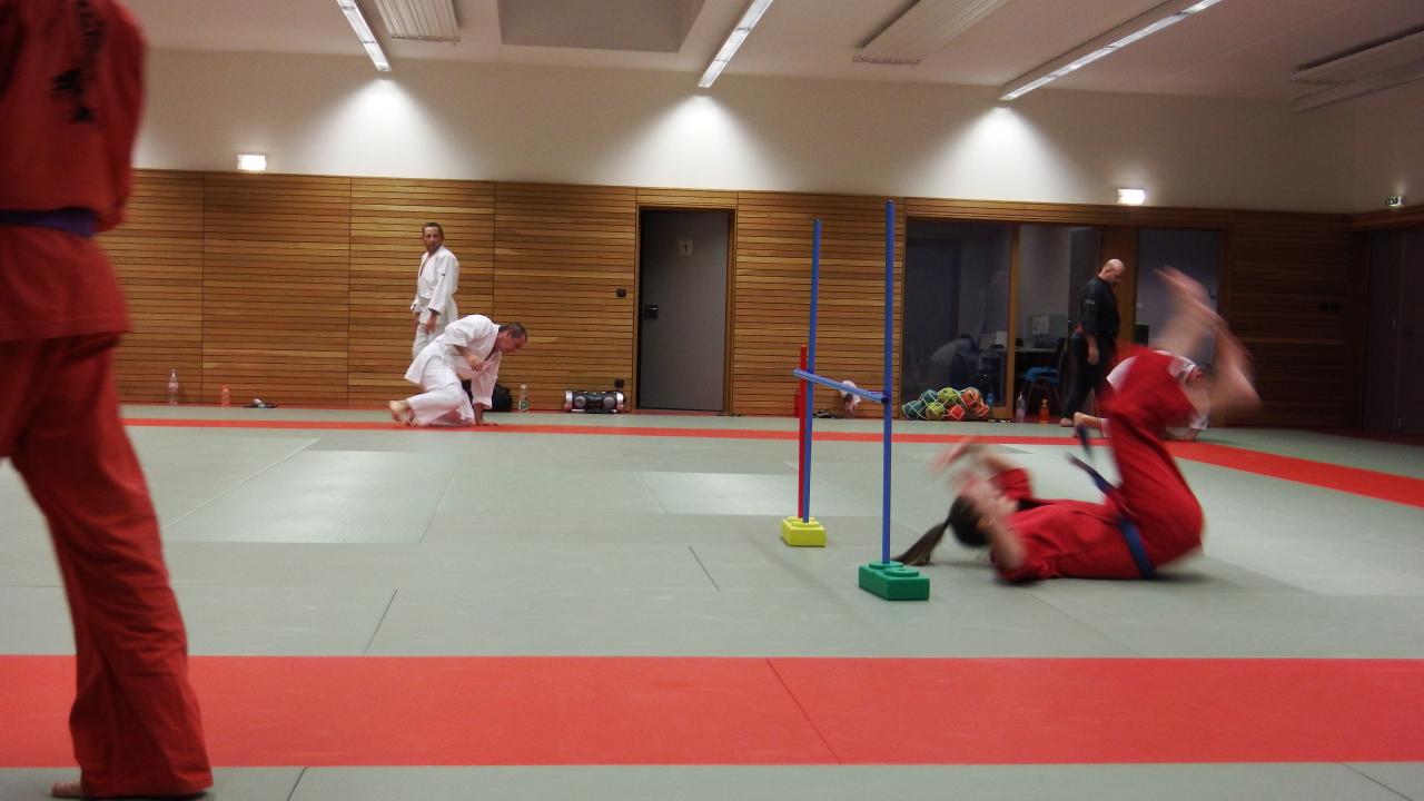 arts martiaux judo soufflenheim drusenheim9149