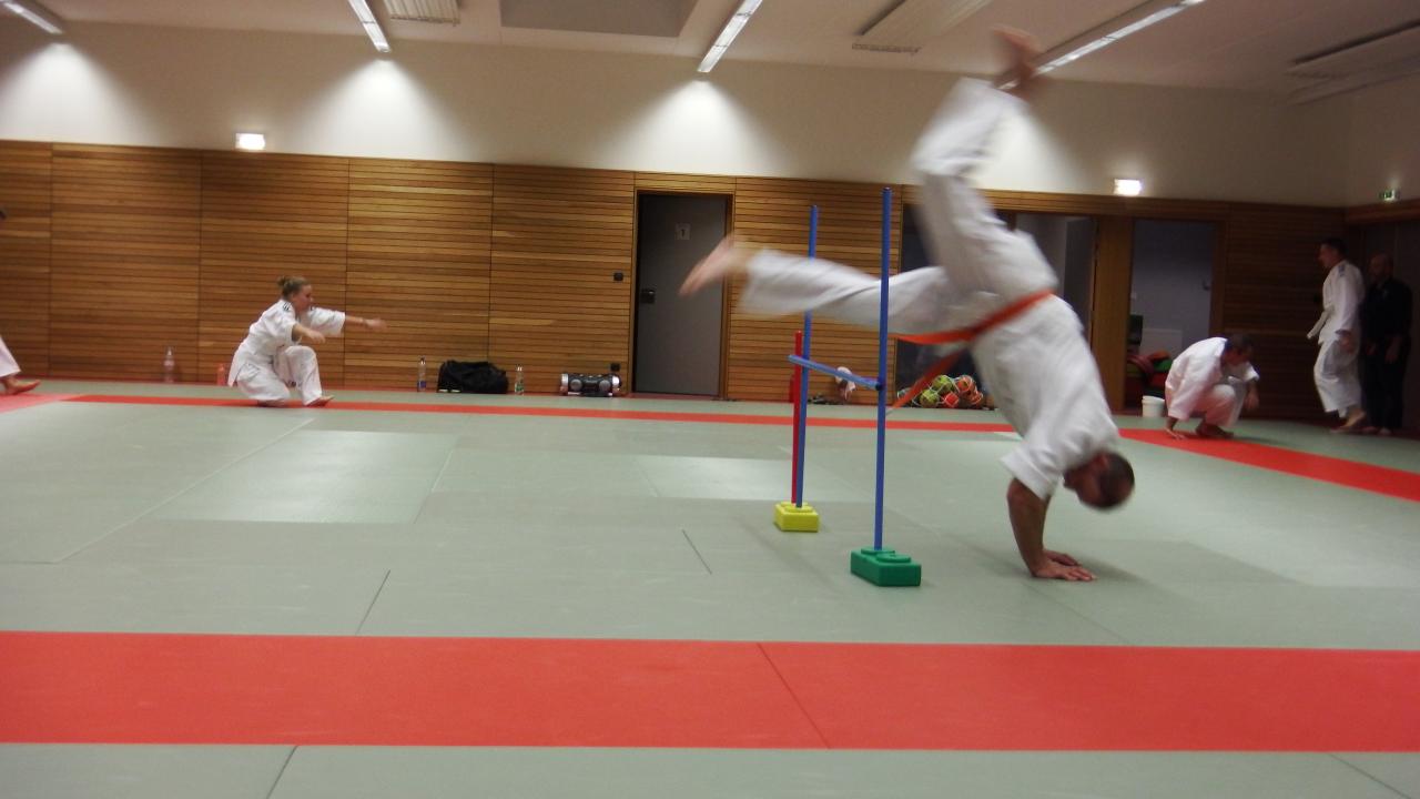 arts martiaux judo soufflenheim drusenheim9151