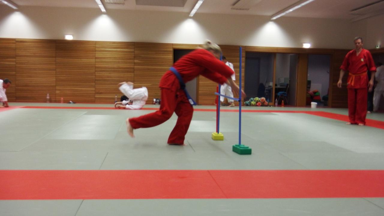 arts martiaux judo soufflenheim drusenheim9152