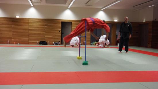 arts martiaux judo soufflenheim drusenheim9156