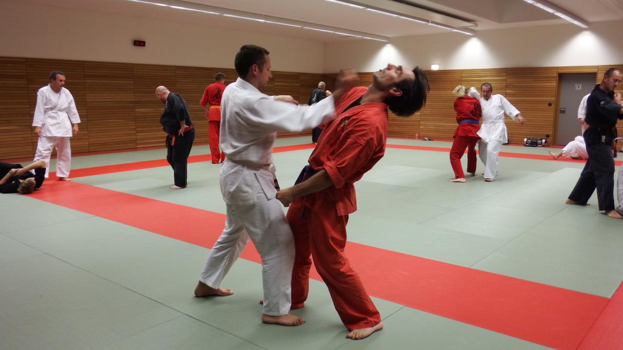arts martiaux judo soufflenheim drusenheim9176