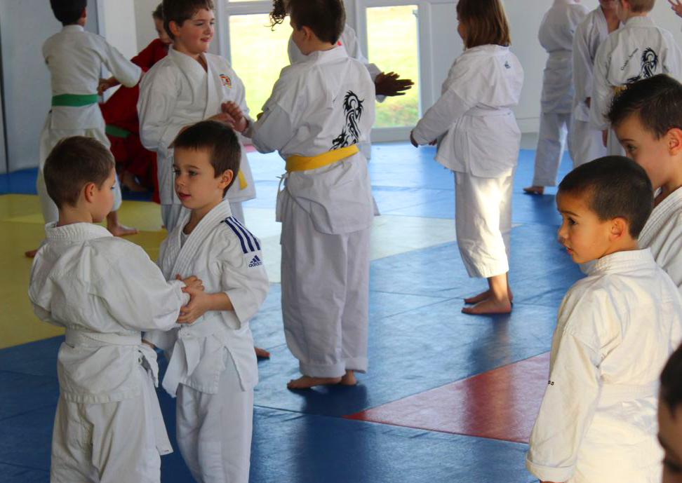 Arts martiaux Soufflenheim gosh judo31