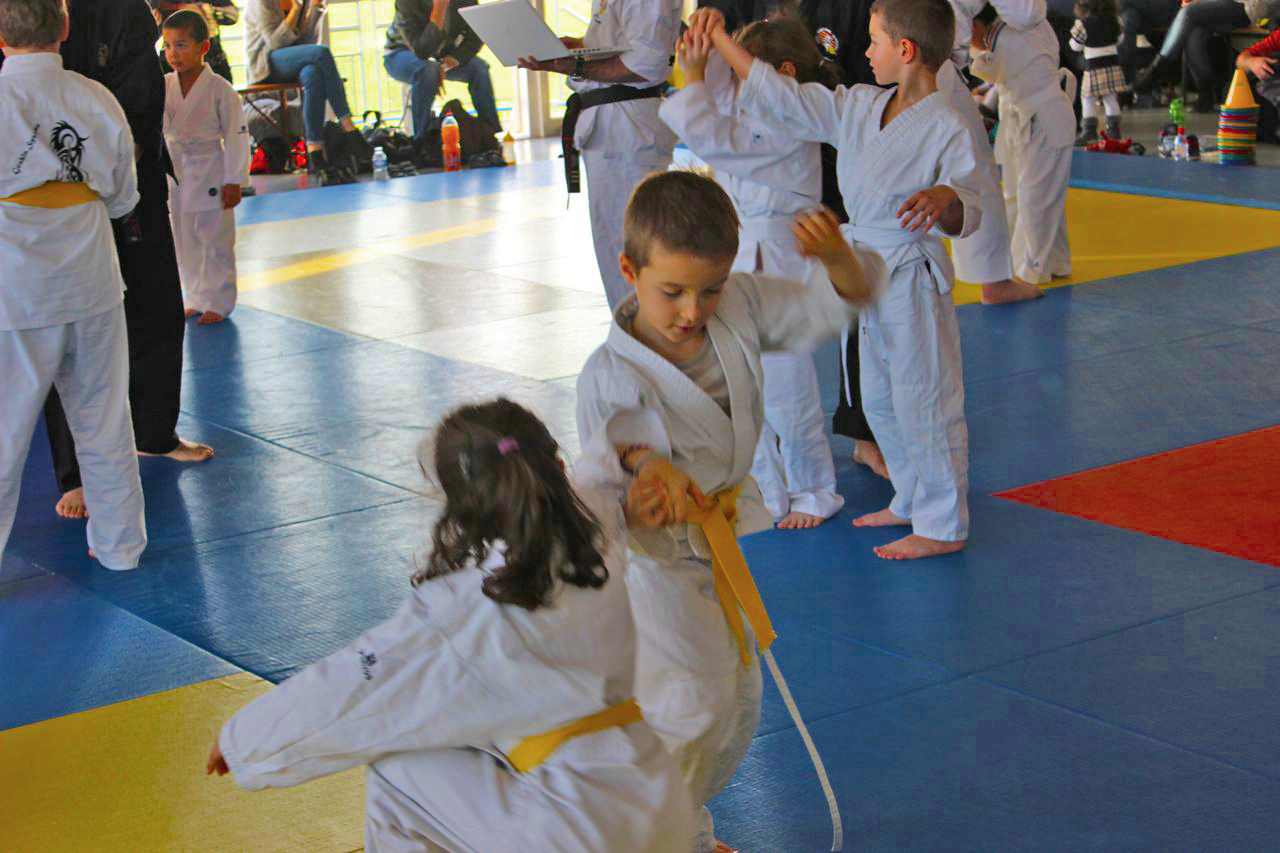 Arts martiaux Soufflenheim gosh judo33