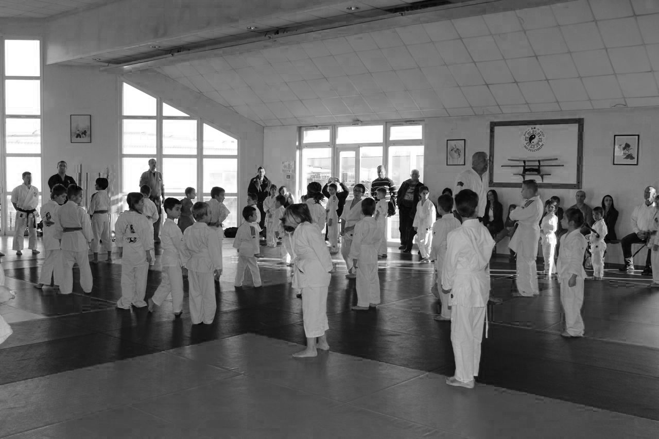 Arts martiaux Soufflenheim gosh judo41