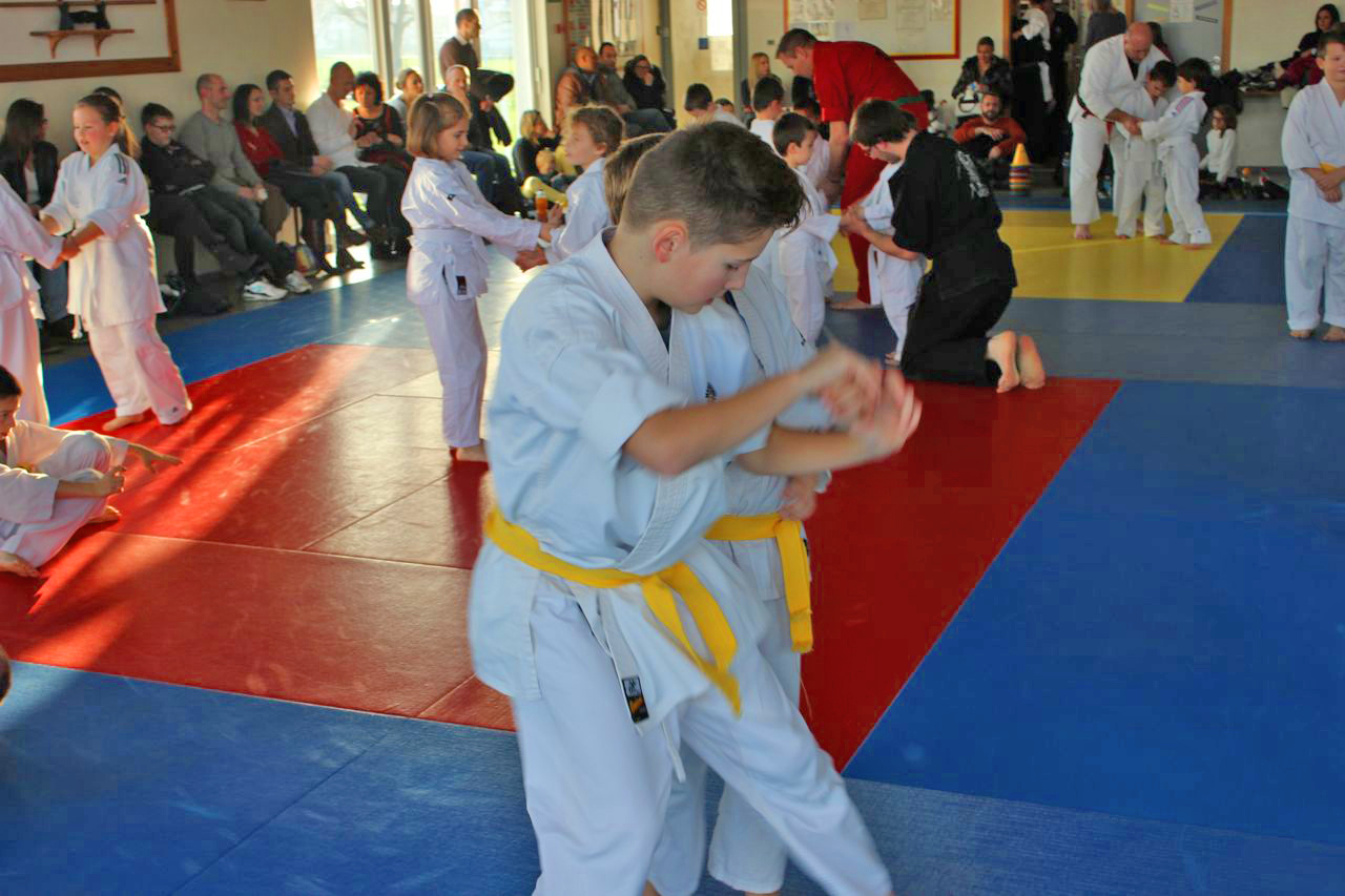 Arts martiaux Soufflenheim gosh judo48