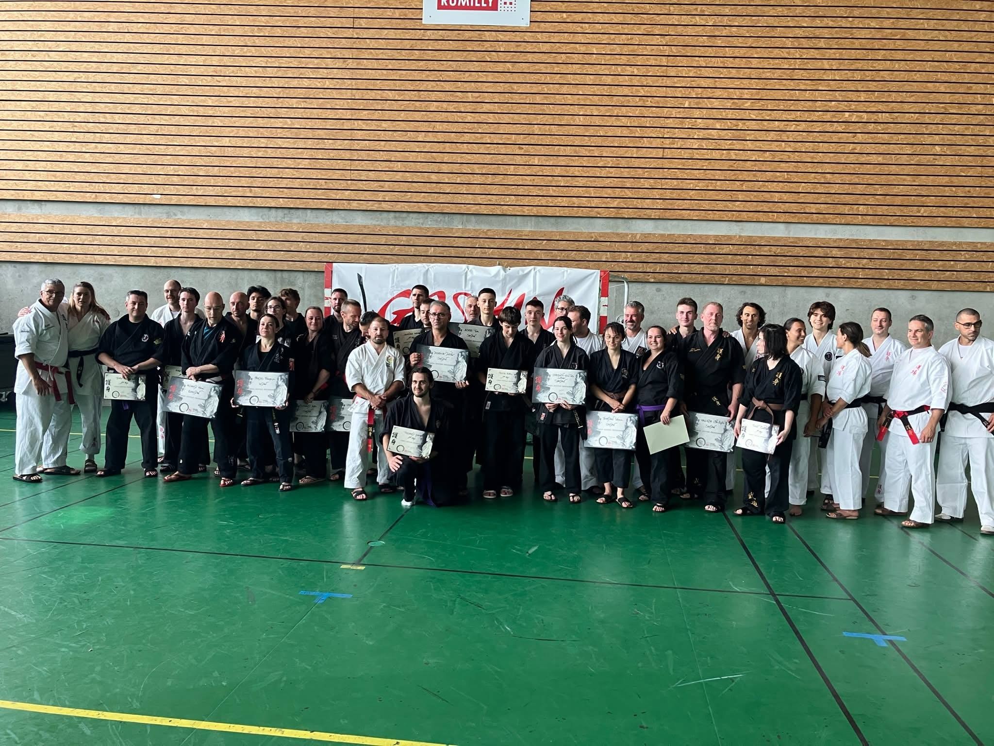 Arts martiaux soufflenheim haguenau drusenheim 01