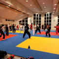 Arts martiaux soufflenheim haguenau drusenheim goshin systeeme 001