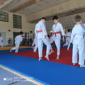 Arts martiaux soufflenheim haguenau drusenheim goshin systeeme 03