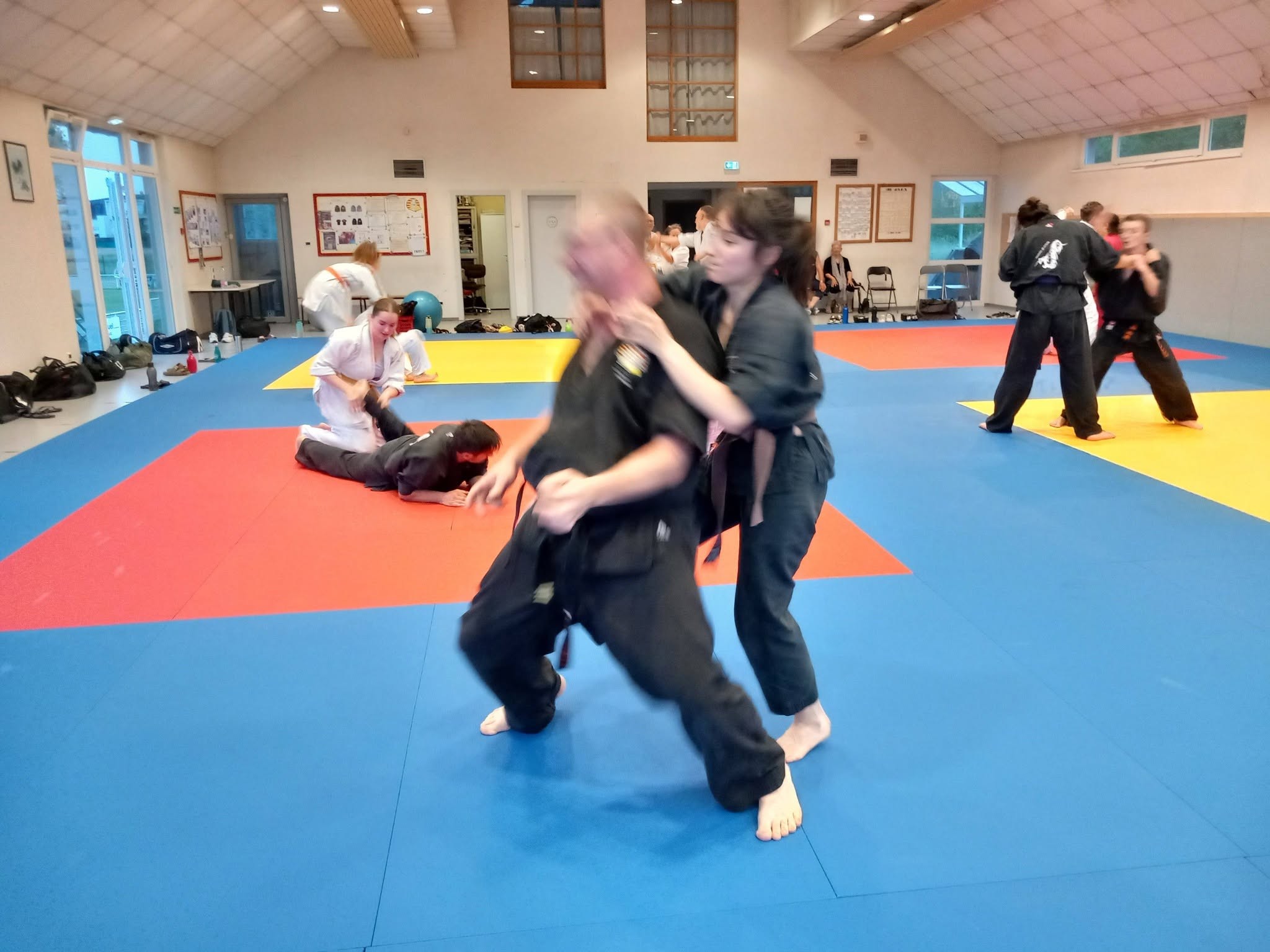 Arts martiaux soufflenheim haguenau drusenheim goshin systeeme 06