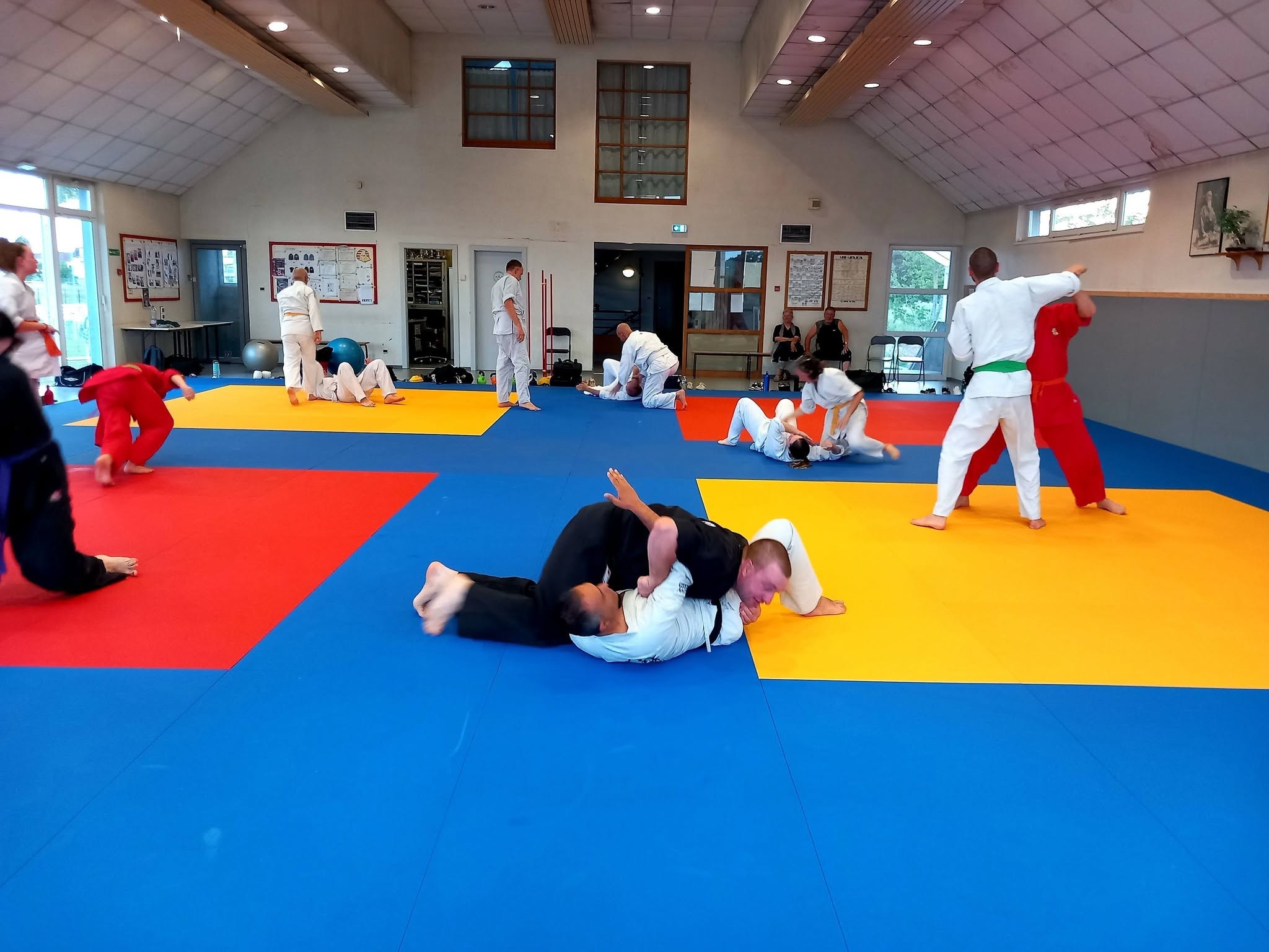 Arts martiaux soufflenheim haguenau drusenheim goshin systeeme 08
