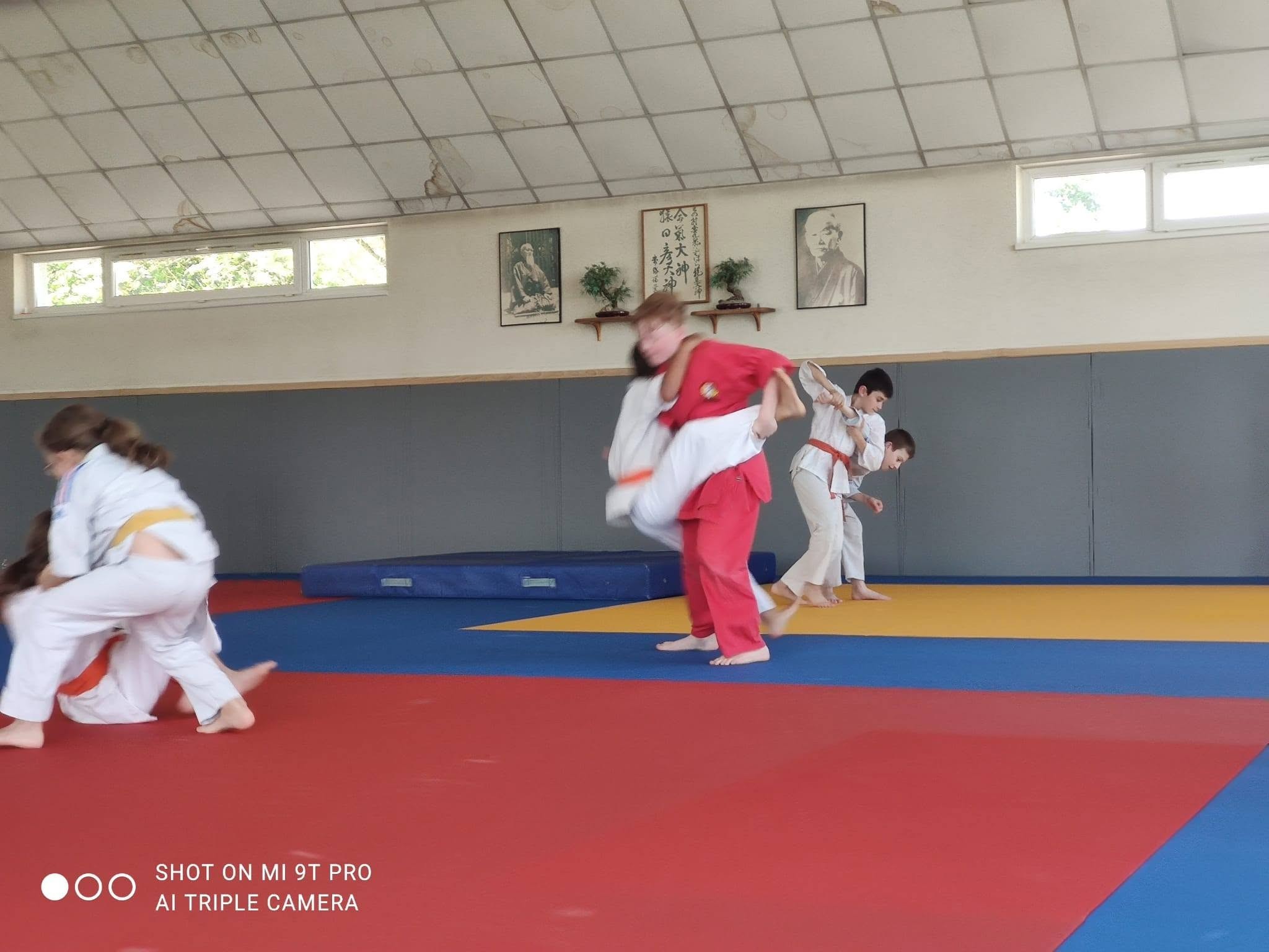 Arts martiaux soufflenheim haguenau drusenheim goshin systeeme 10