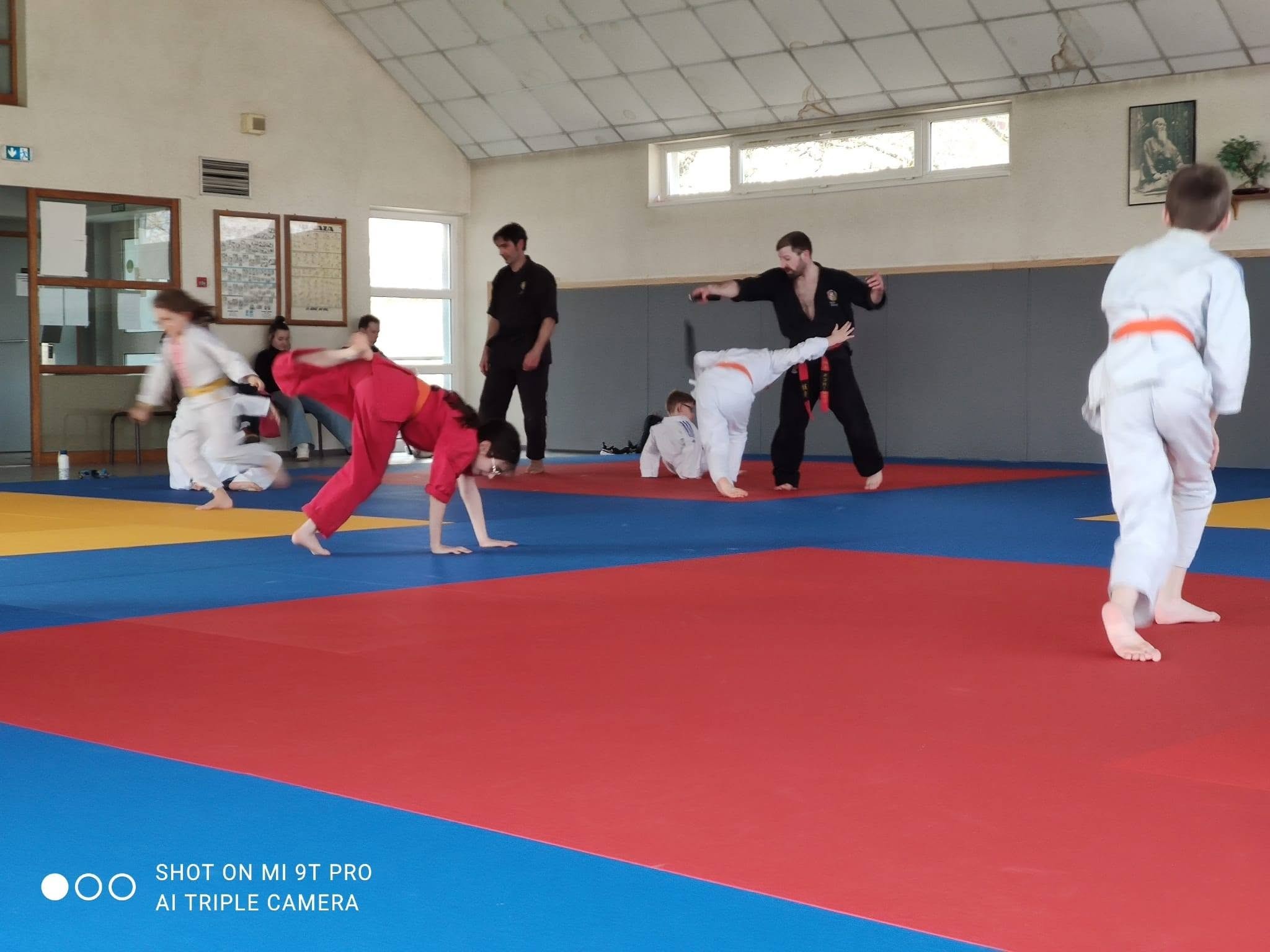 Arts martiaux soufflenheim haguenau drusenheim goshin systeeme 12