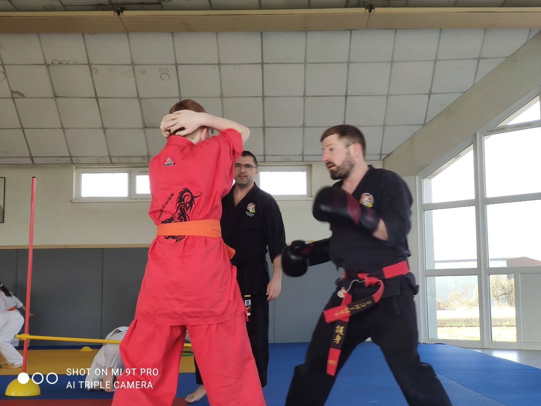 Arts martiaux soufflenheim haguenau drusenheim goshin systeeme 13
