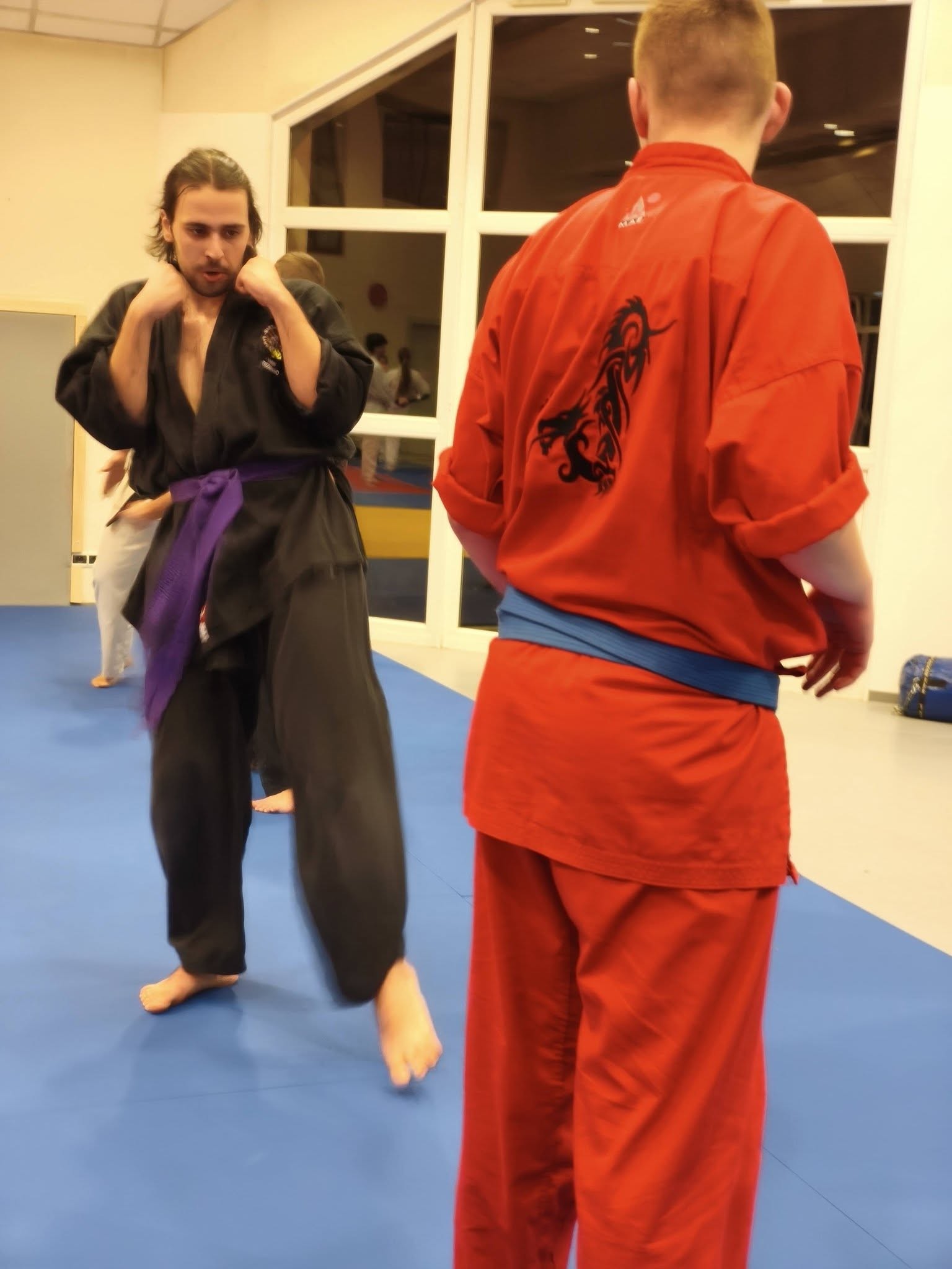 Arts martiaux soufflenheim haguenau drusenheim goshin systeeme 14