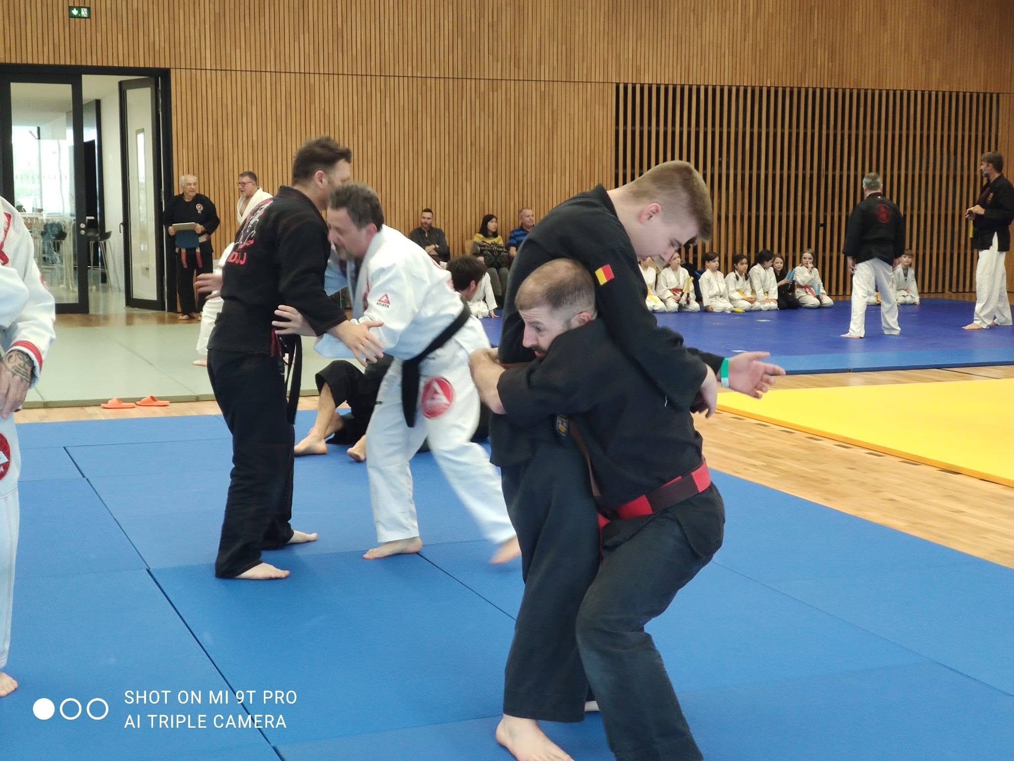 Arts martiaux soufflenheim haguenau drusenheim goshin systeeme 15