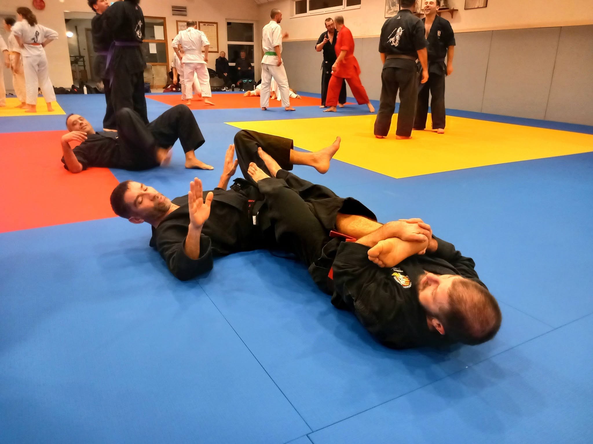 Arts martiaux soufflenheim haguenau drusenheim goshin systeeme 22