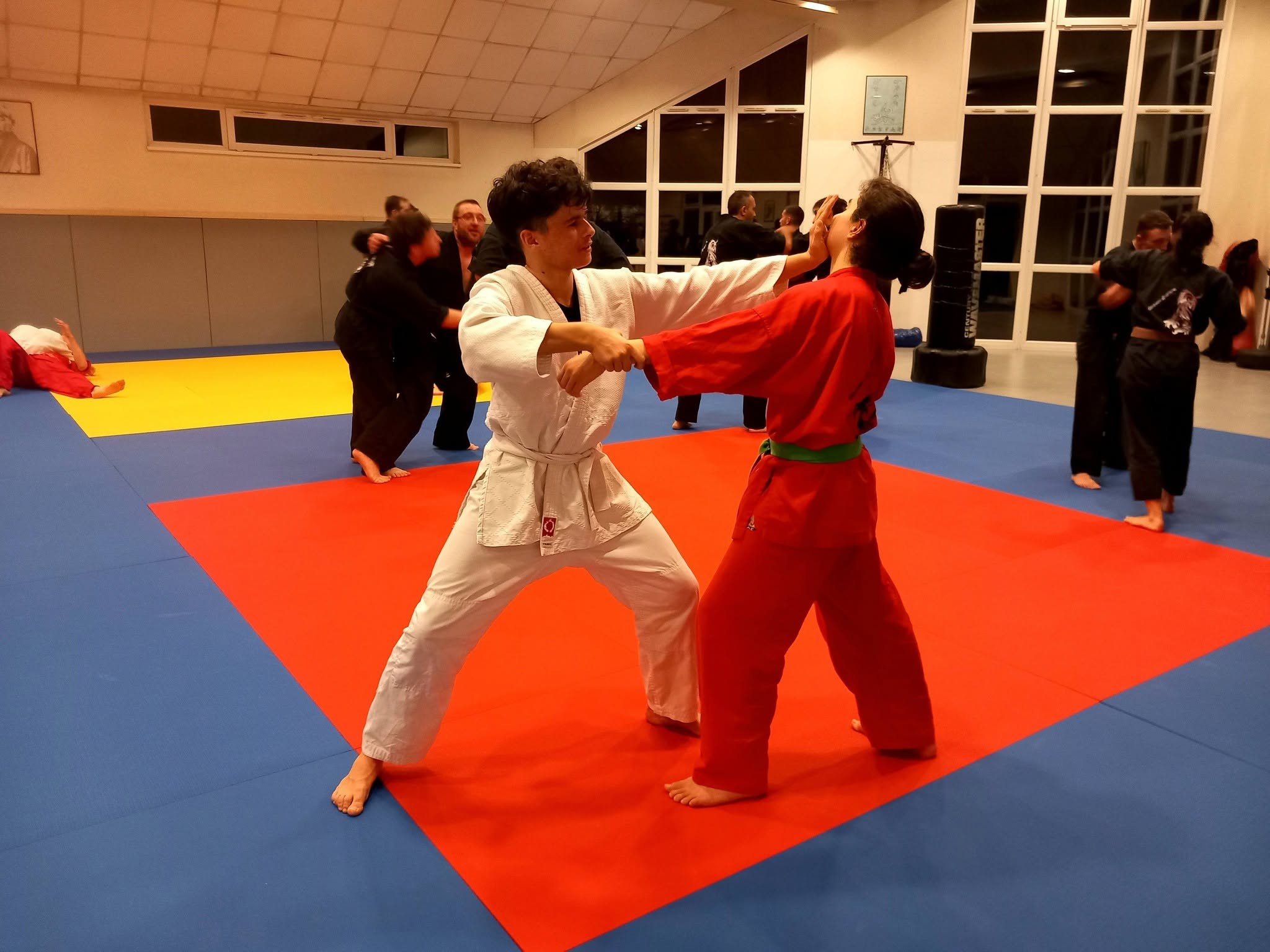 Arts martiaux soufflenheim haguenau drusenheim goshin systeeme 23