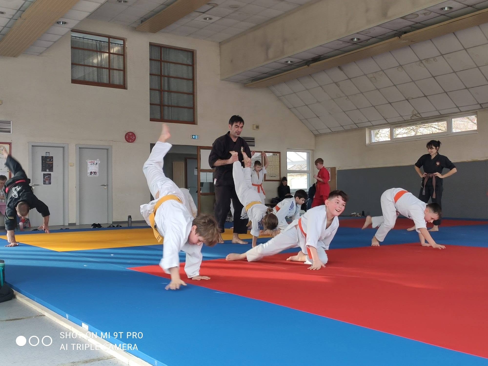 Arts martiaux soufflenheim haguenau drusenheim goshin systeme 29