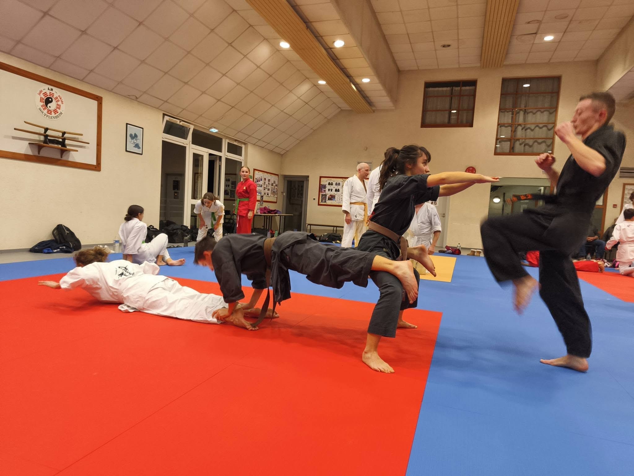 Arts martiaux soufflenheim haguenau drusenheim goshin systeme 30