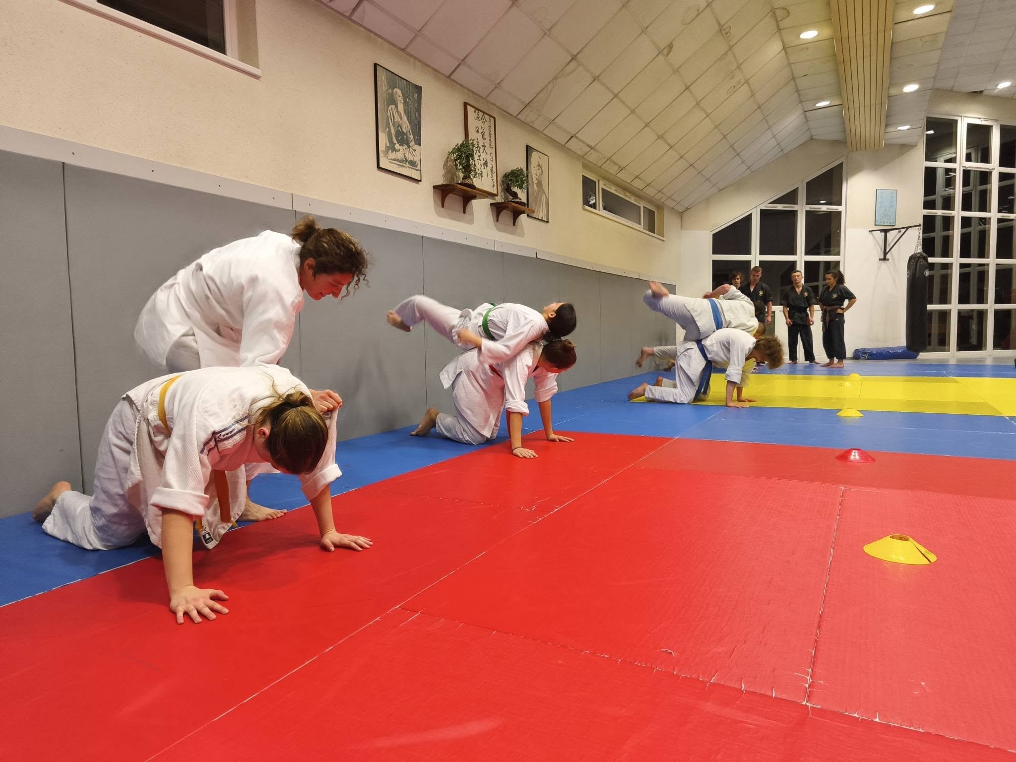 Arts martiaux soufflenheim haguenau drusenheim goshin systeme 31